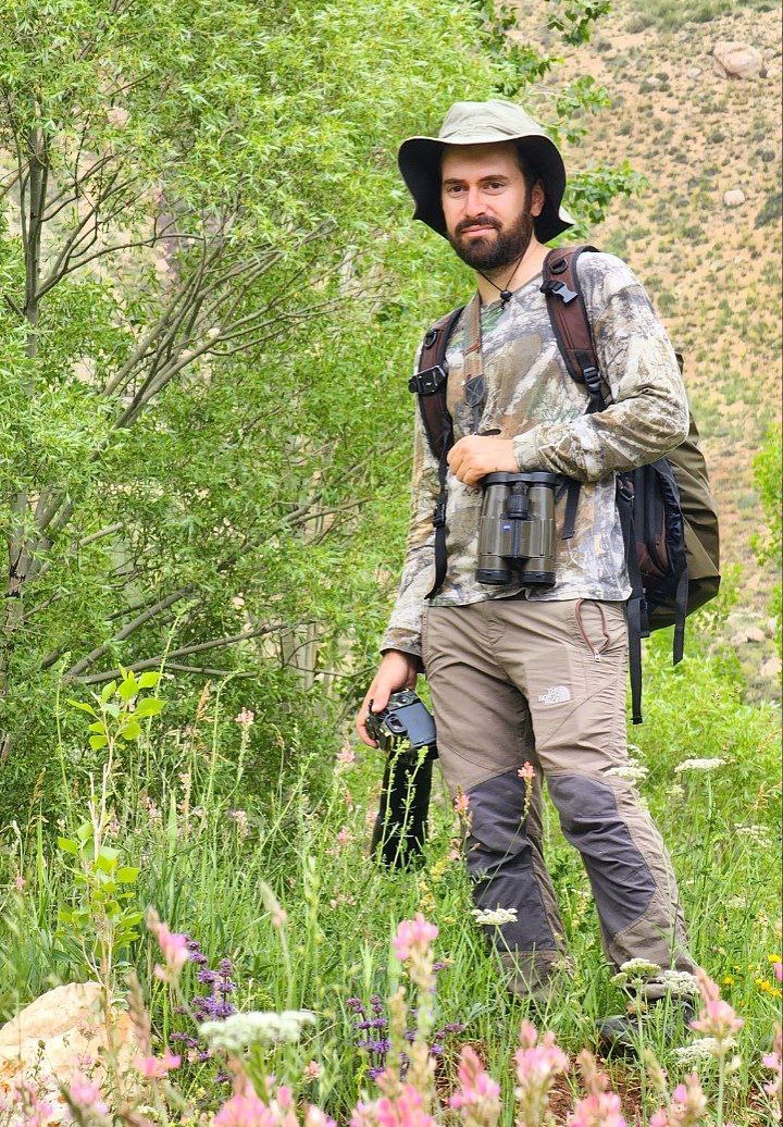 Mohammad reza kashfi - birdwatching tourguide