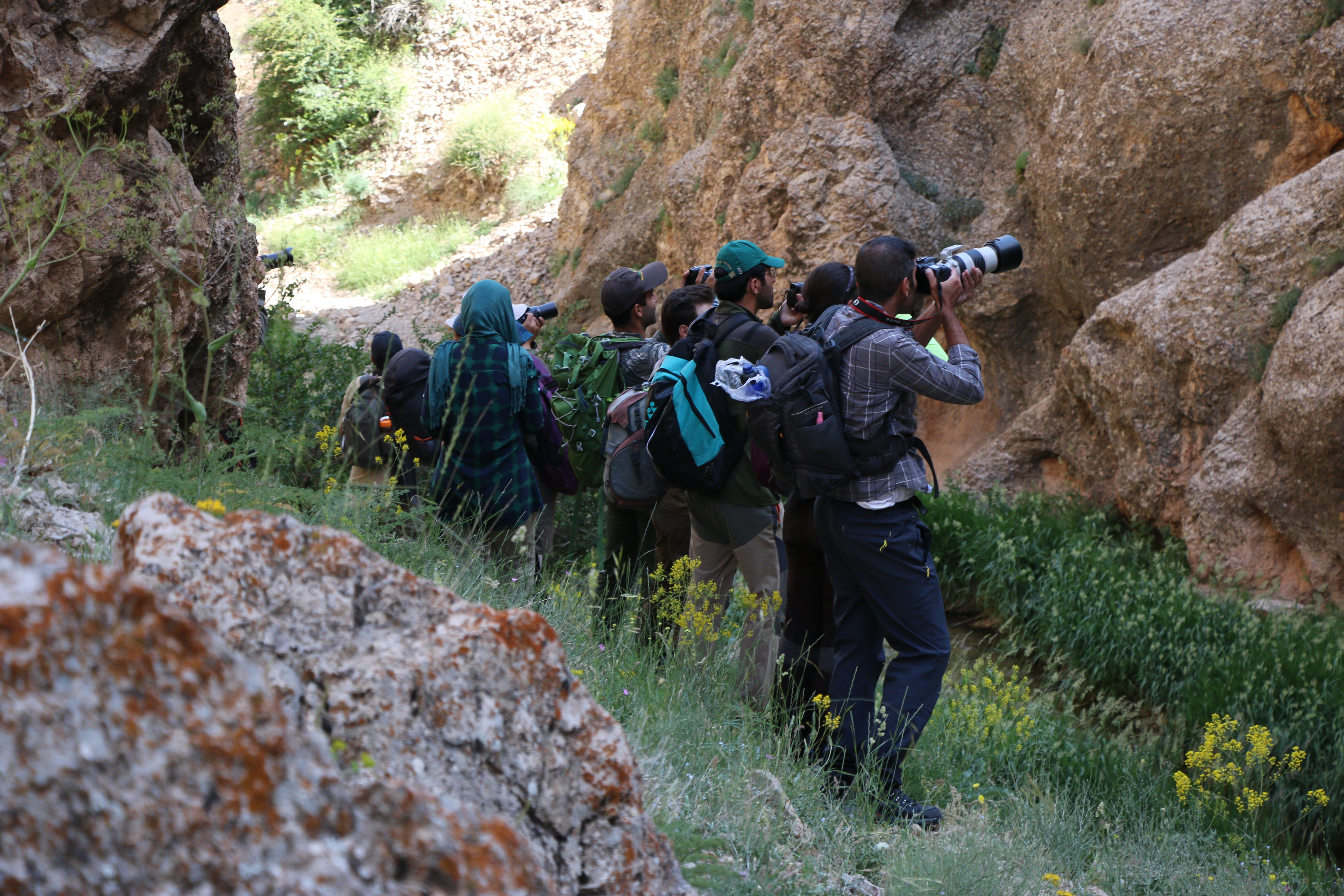 پرنده نگری در ایران، باشگاه پرنده‌نگری ایرانیان