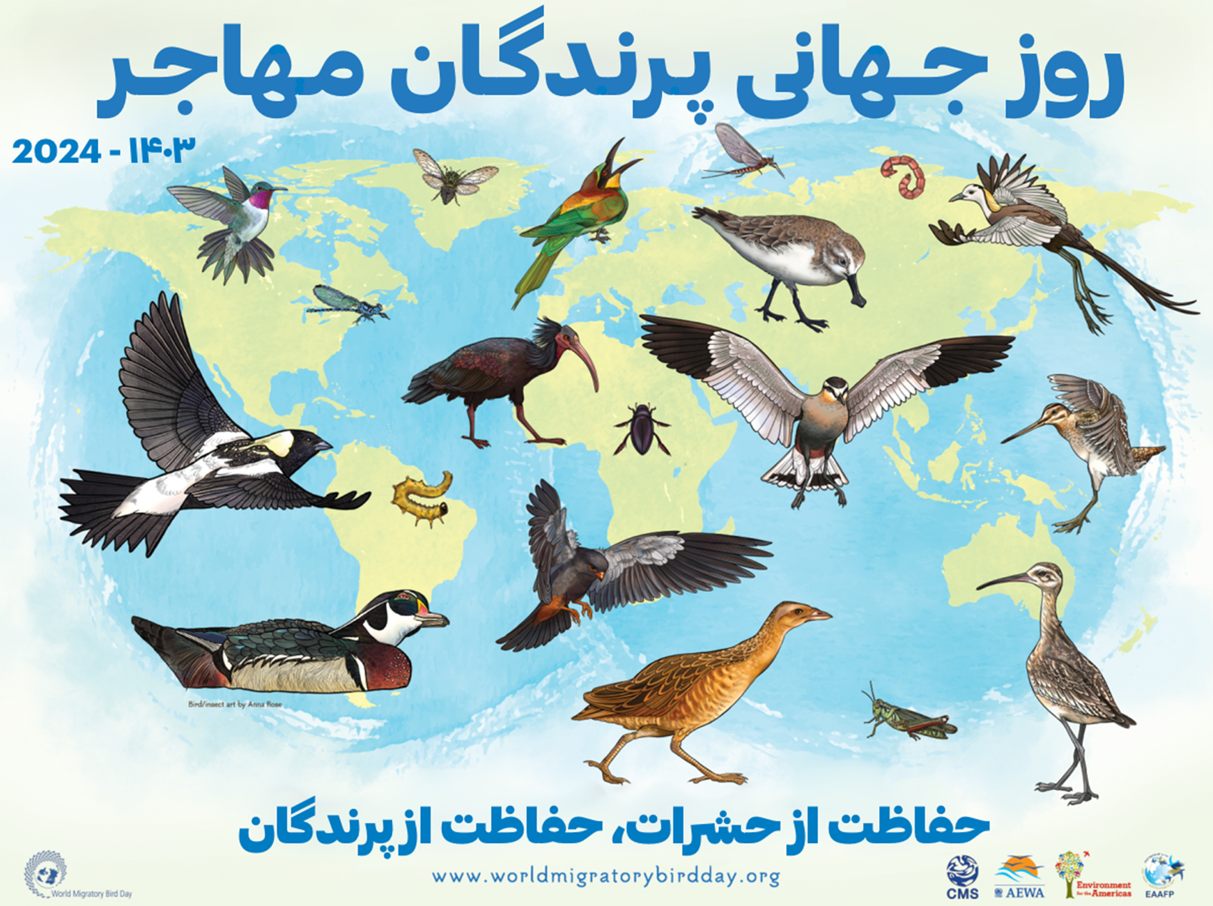 پوستر روز جهانی پرندگان مهاجر 2024، حفاظت از حشرات حفاظت از پرندگان