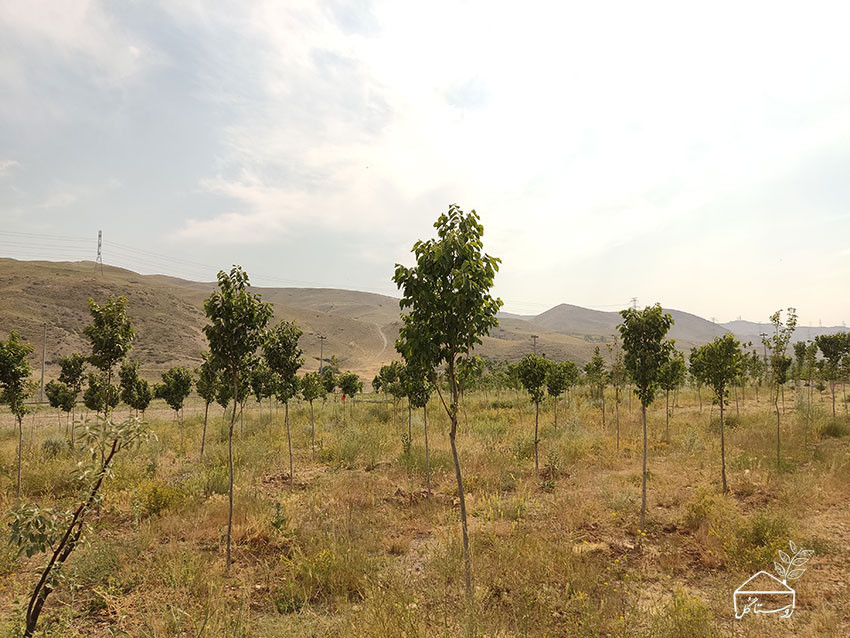 بوستان ساحلی لواسان