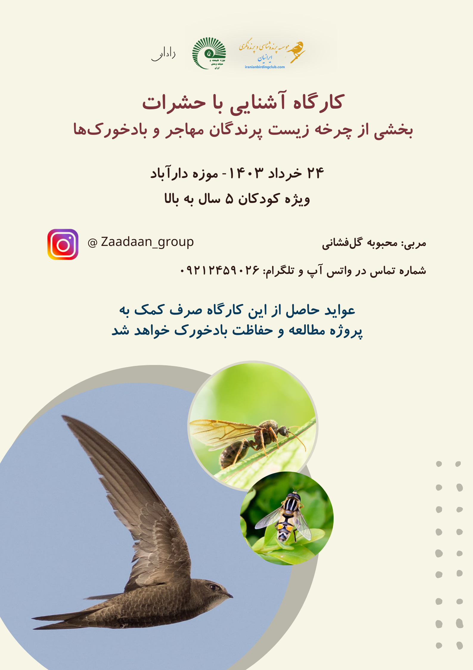 Zaadaan group Swift Iranian birding club