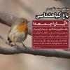 پرنده‌نگری در باغ گیاه‌شناسی و آشنایی با گرافیک ارگانیک| جمعه 11 آبان 1403