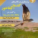 برنامه ترکیبی پرنده‌نگری در تالاب‌های گندمان و چغاخور و دیدار از حیات وحش پناهگاه موته | 14 و 15 خرداد 1403