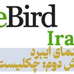 راهنمای ایبرد (ebird) بخش دوم: چکلیست‌ها